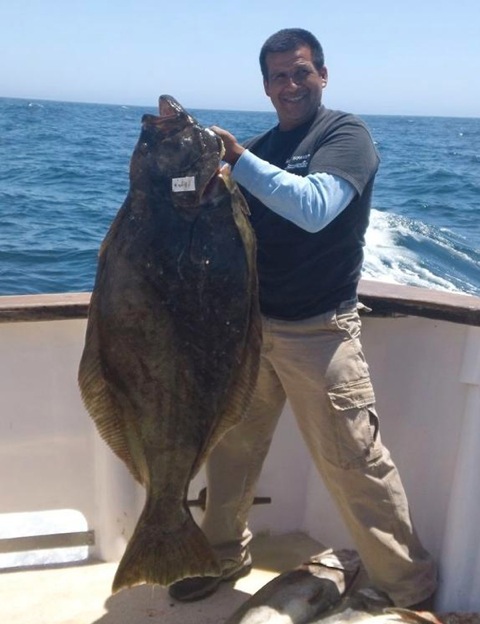 World Record Halibut!